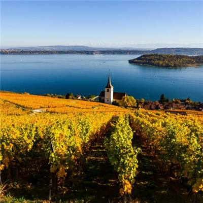 云开全站appapp下载