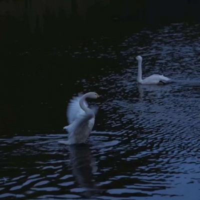 bat365官网登录入口app下载