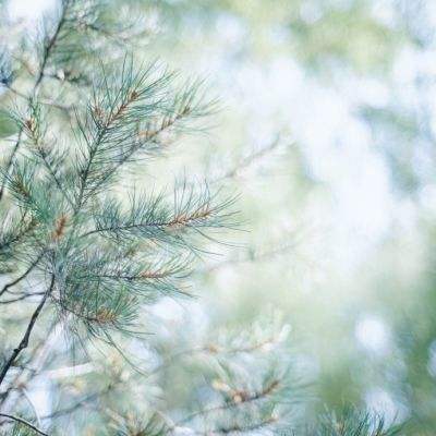 江南官方体育登录入口