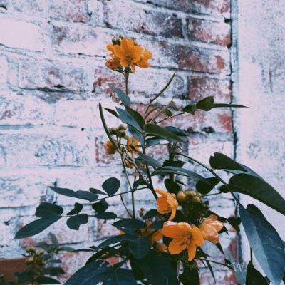 金年会·体育APP